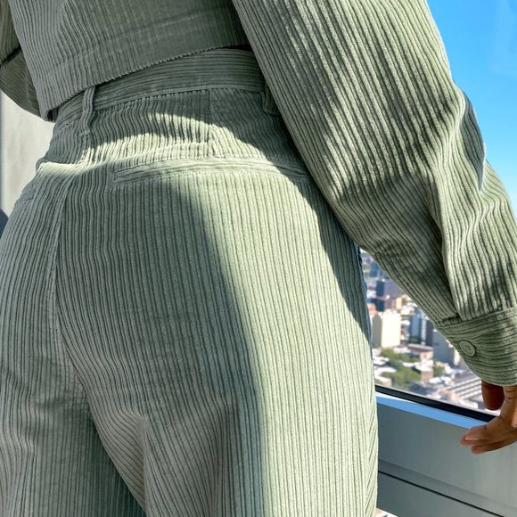 Aritzia Tna Sunview Pant Corduroy pant - Picture 8 of 9